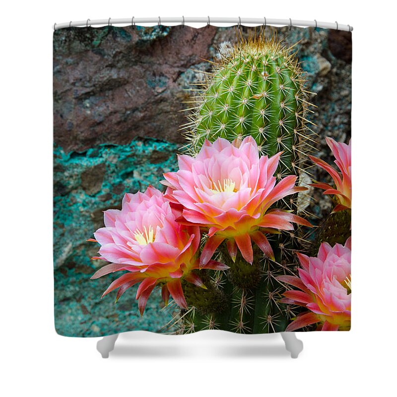 Torch Cactus Shower Curtain featuring the photograph Torch and Chrysocolla by Evelyn Harrison