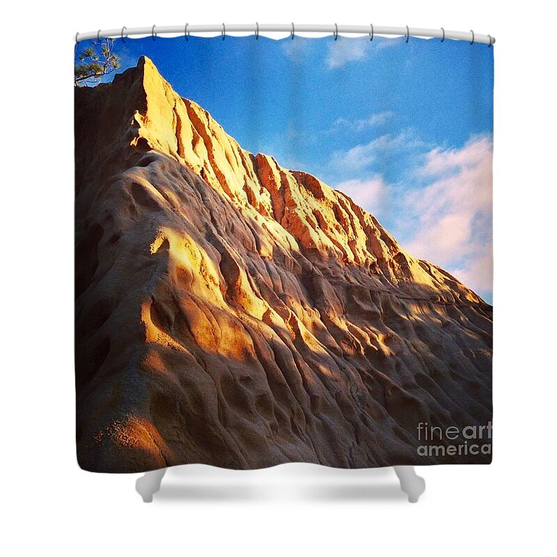 Torrey Pines State Reserve Shower Curtain featuring the photograph Torrey Pines State Reserve by Denise Railey