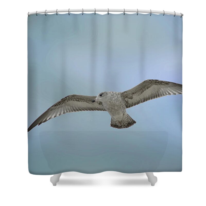  Shower Curtain featuring the photograph Touching The Sky by Phil Mancuso