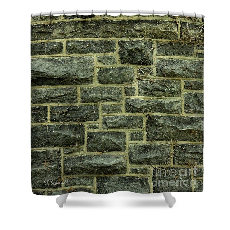 Washington Dc Shower Curtain featuring the photograph Tower Wall by E B Schmidt