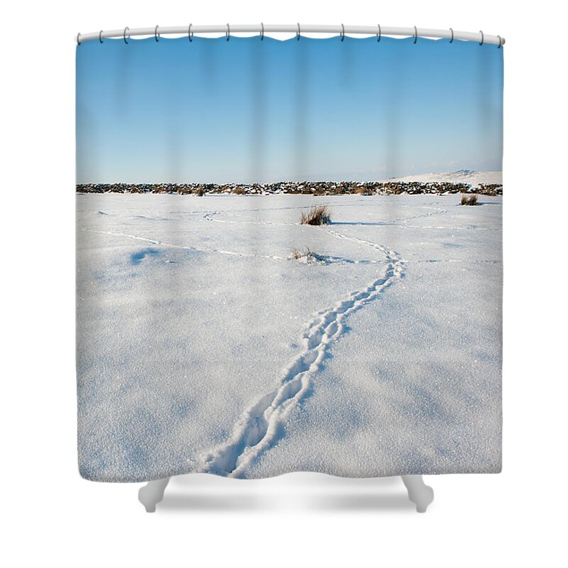 Animal Tracks Shower Curtain featuring the photograph Tracks in the Snow by Helen Jackson