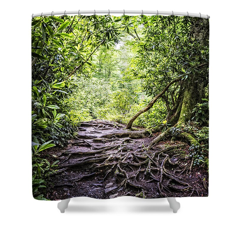 Appalachia Shower Curtain featuring the photograph Trail in the Forest by Debra and Dave Vanderlaan