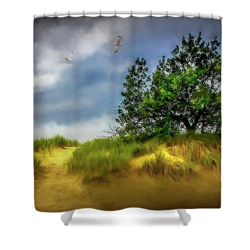 Art Shower Curtain featuring the photograph Trail through the dunes painterly version by Randall Nyhof