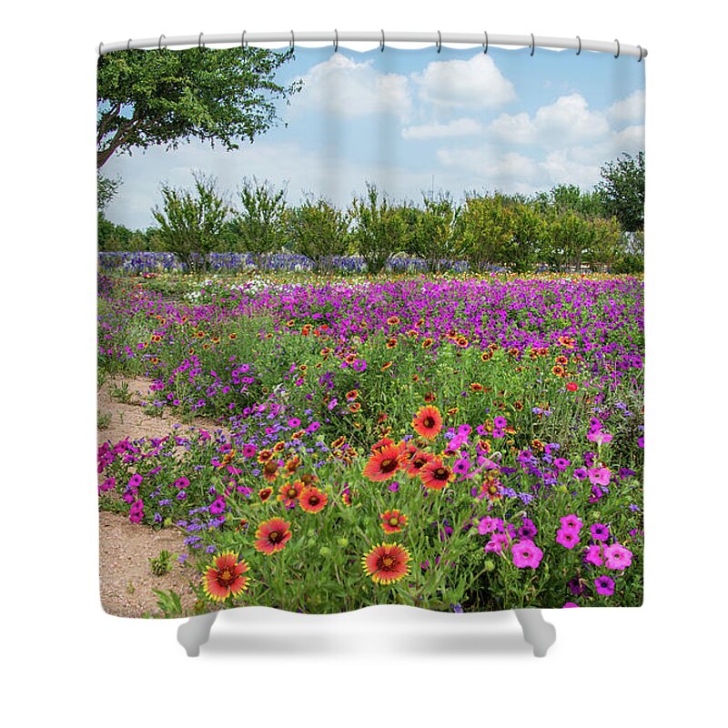Texas Shower Curtain featuring the photograph Trailing Beauty by Lynn Bauer