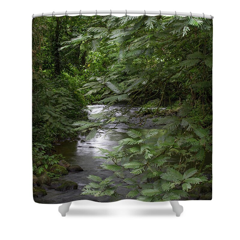 Costa Rica Shower Curtain featuring the photograph Costa Rica Tranquil Stream by Chris Scroggins