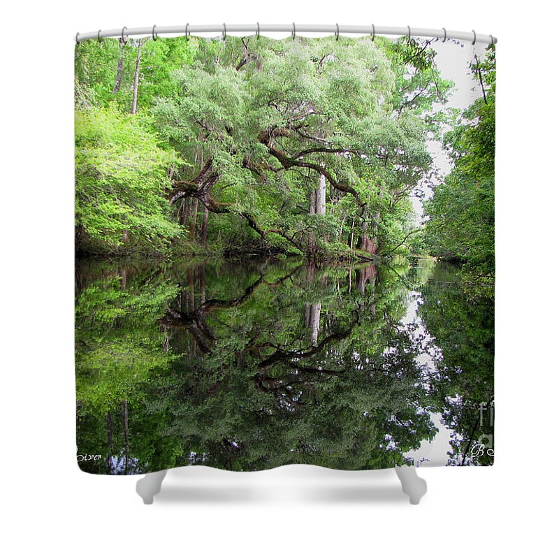 Tranquility Shower Curtain featuring the photograph Tranquility by Barbara Bowen
