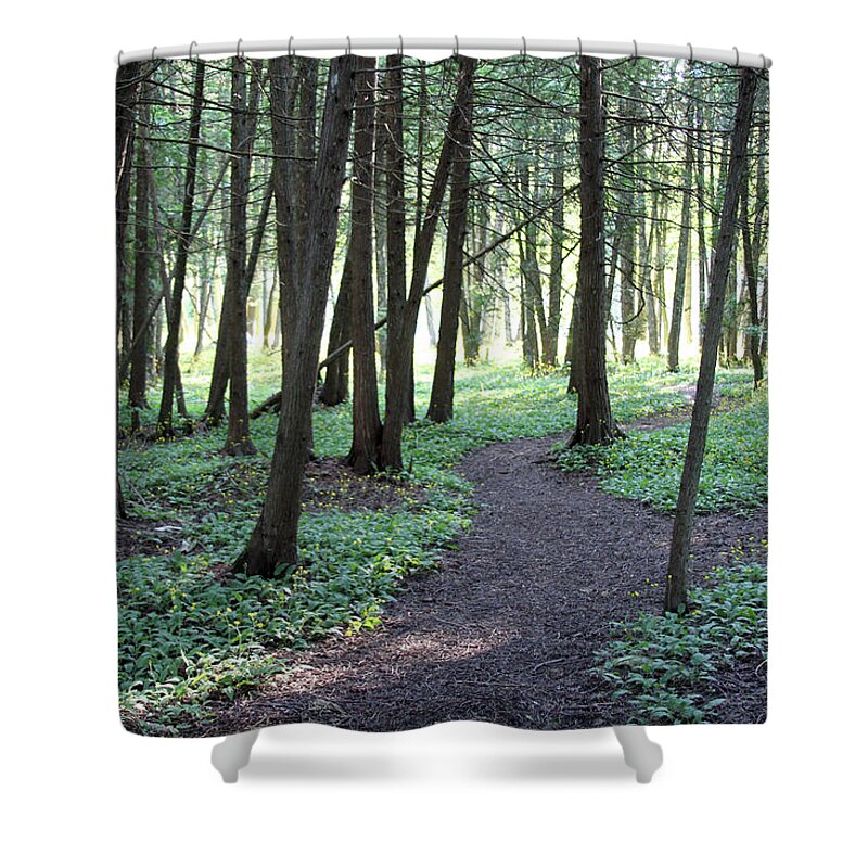 Woods Shower Curtain featuring the photograph Tranquility by Jackson Pearson