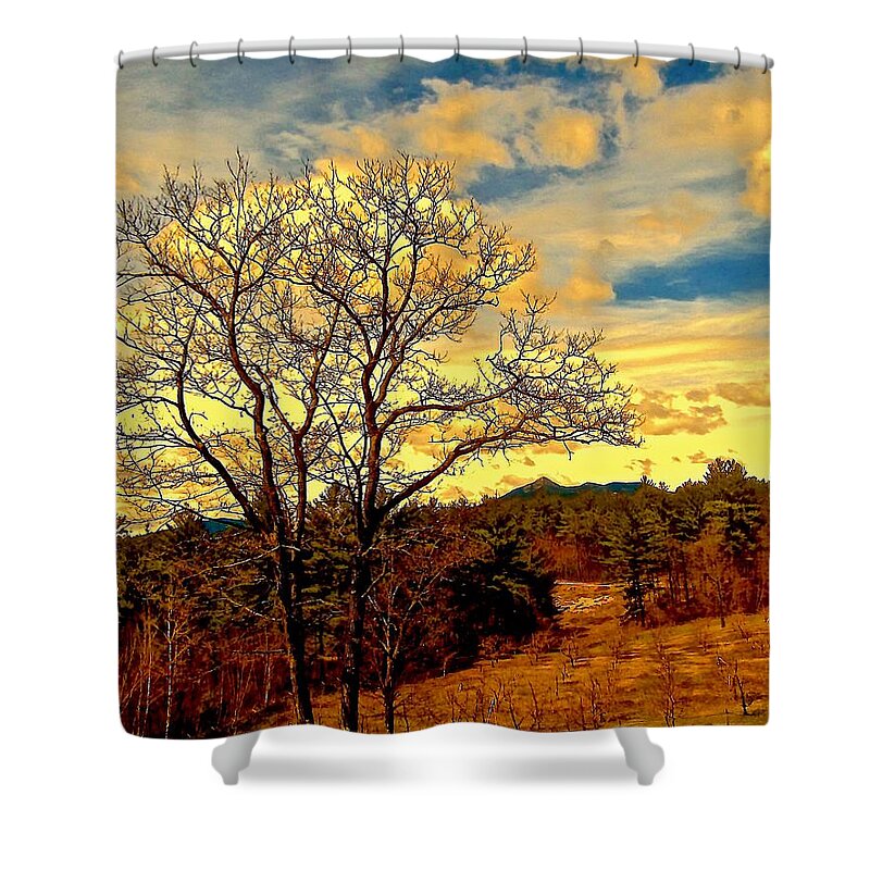 Trees Shower Curtain featuring the photograph Transformations, Two by Elizabeth Tillar