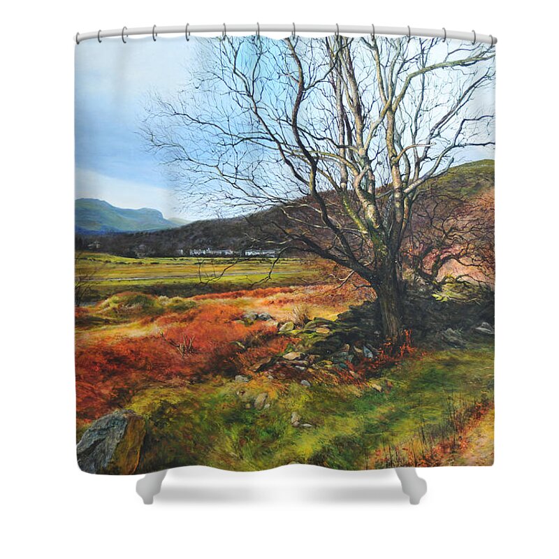 Landscape Shower Curtain featuring the painting Tree at Aberglaslyn by Harry Robertson