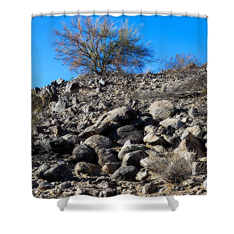 Arizona Shower Curtain featuring the photograph Tree at the Top of the Hill by Judy Kennedy