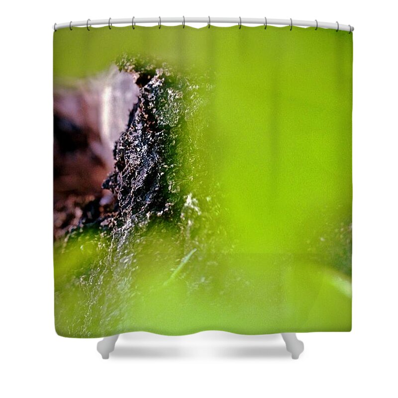 Tree Shower Curtain featuring the photograph Tree Bark by Elisabeth Derichs
