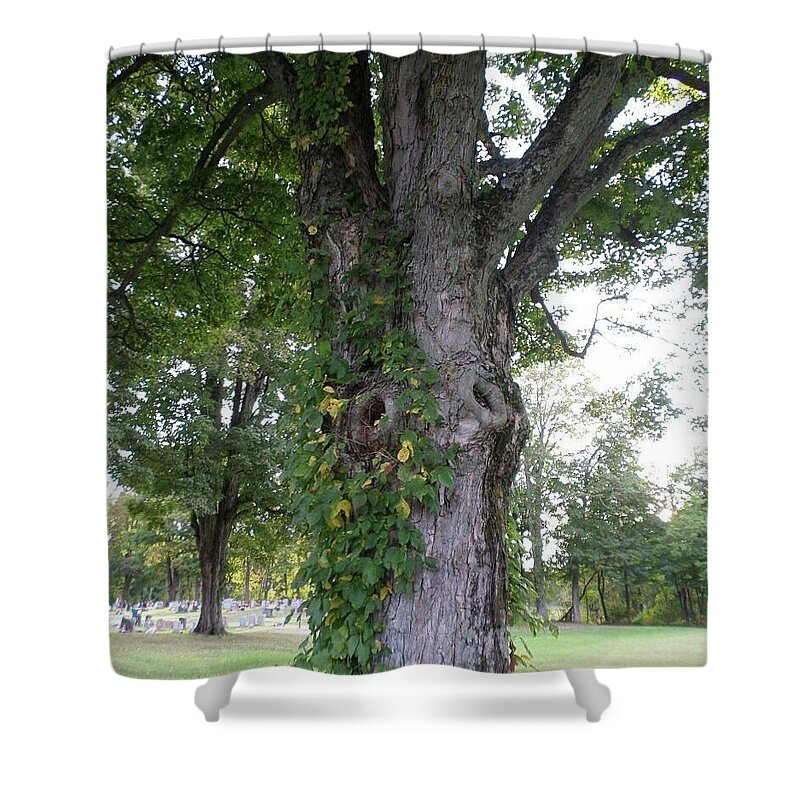  Shower Curtain featuring the photograph Tree Eyes by Stephanie Piaquadio