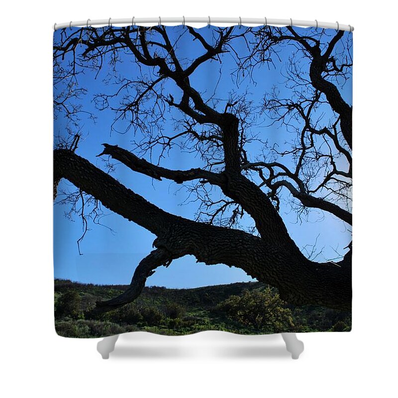 Tree Shower Curtain featuring the photograph Tree in Rural Hills - Silhouette View by Matt Quest