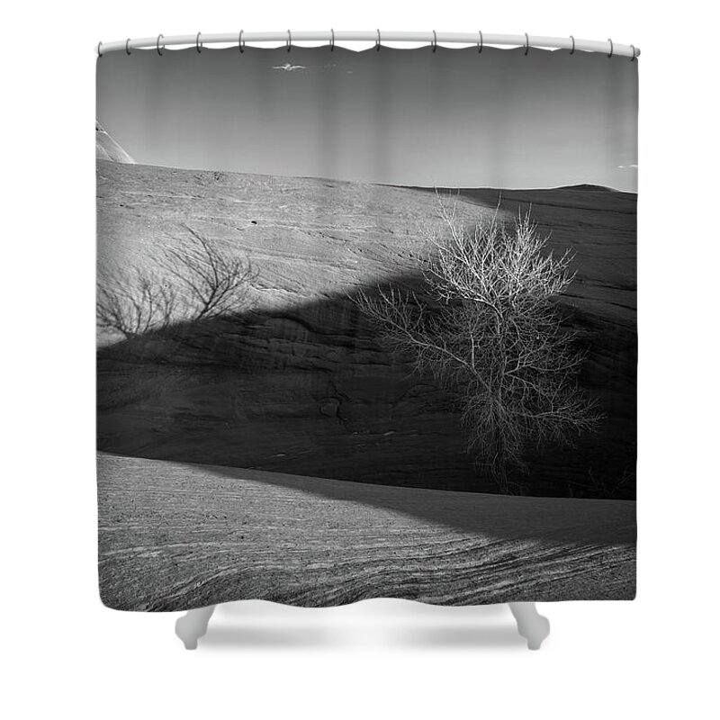 Tree Shower Curtain featuring the photograph Tree in the Rock by James Udall