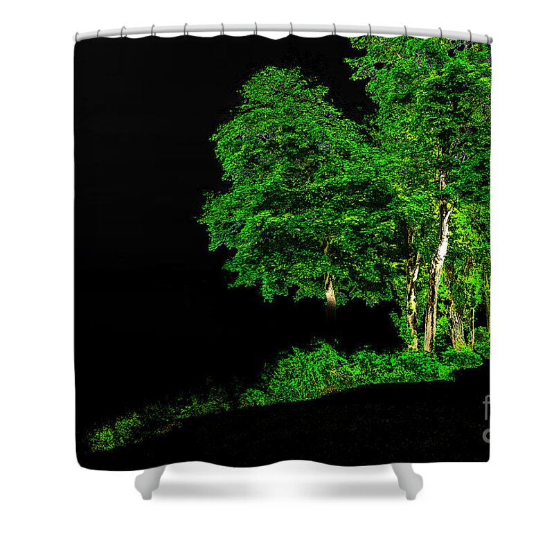 Tree Shower Curtain featuring the photograph Tree Light by William Norton