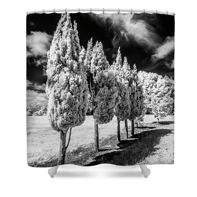Infrared Shower Curtain featuring the photograph Tree Line-Up by Roseanne Jones