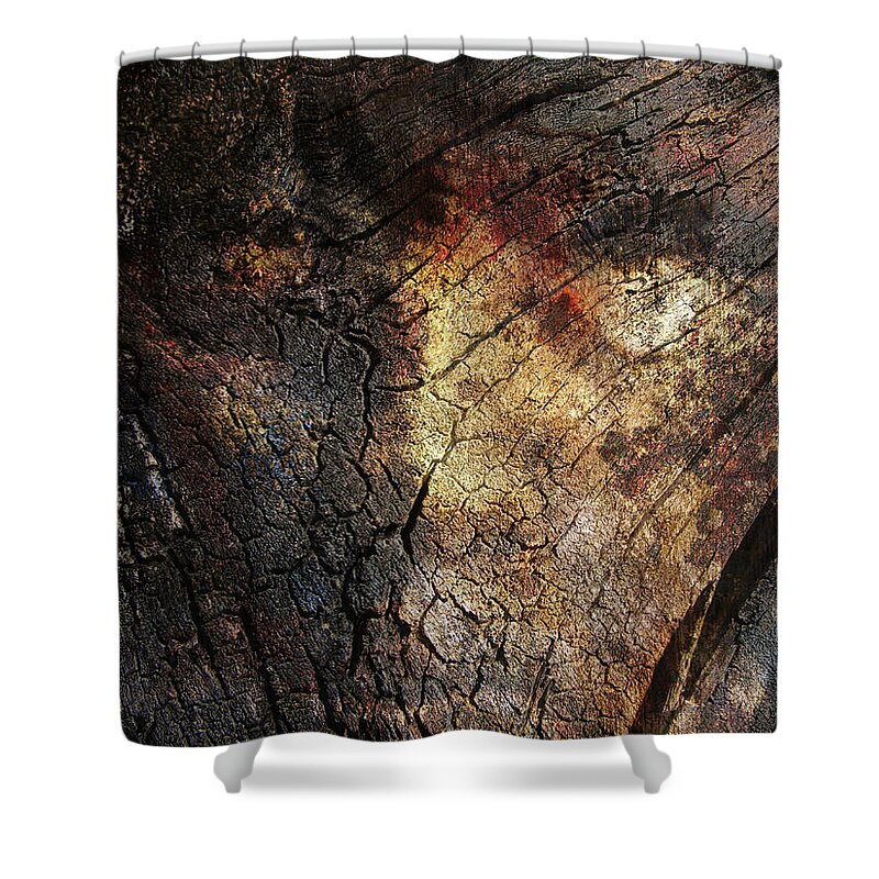 Trees Shower Curtain featuring the photograph Tree Memories # 21 by Ed Hall