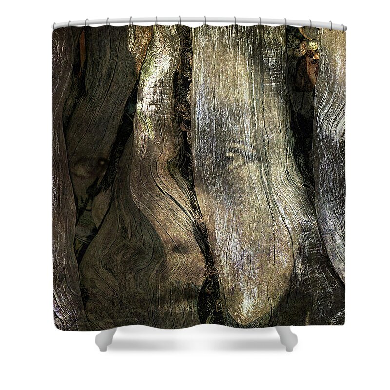 Trees Shower Curtain featuring the photograph Tree Memories # 24 by Ed Hall