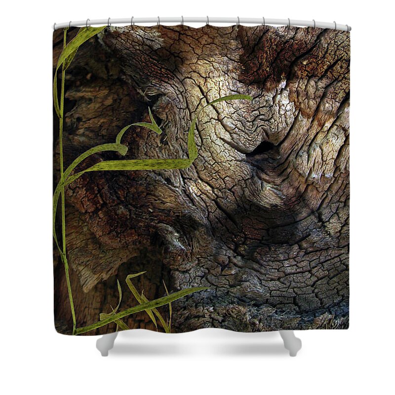 Trees Shower Curtain featuring the photograph Tree Memories # 37 by Ed Hall