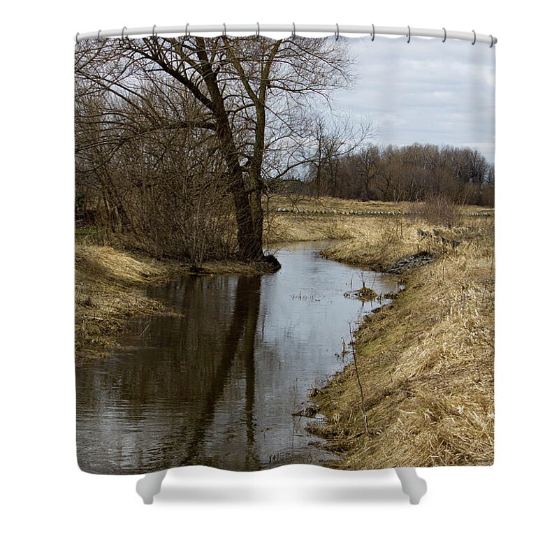 Portrait Shower Curtain featuring the photograph Tree Mirror in Stream by Donna L Munro