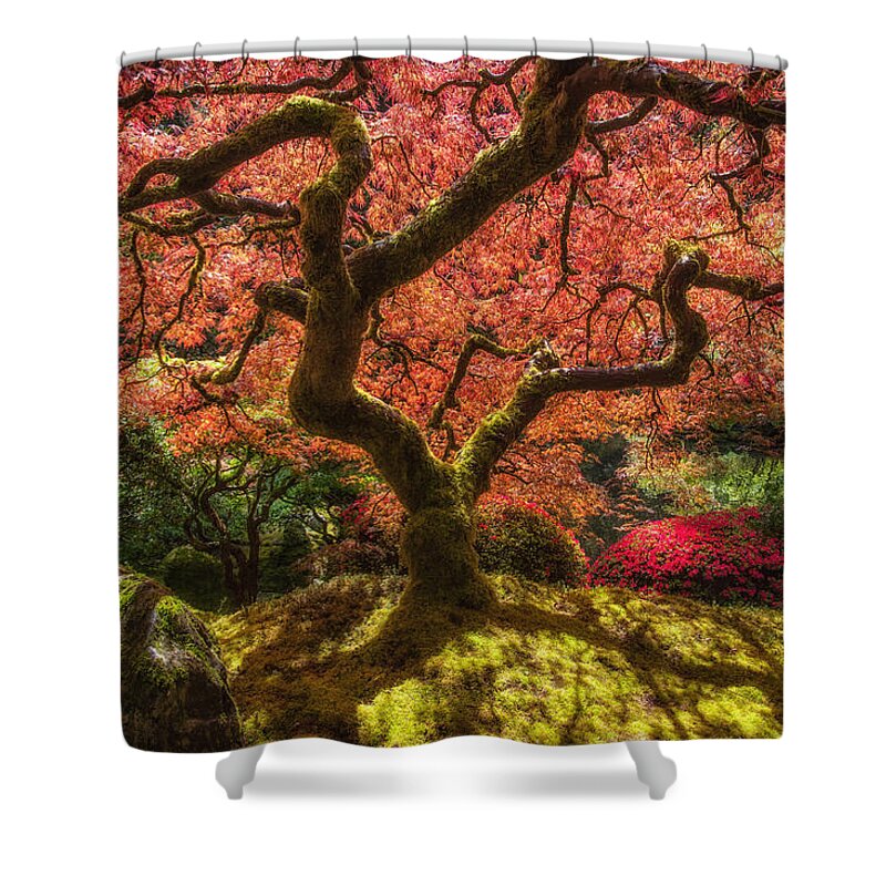Tree Shower Curtain featuring the photograph Tree of Flames by Harry Spitz