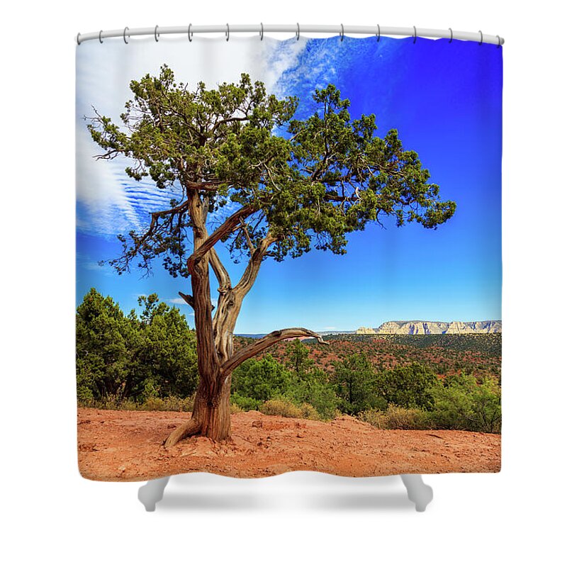 Arizona Shower Curtain featuring the photograph Tree of Life by Raul Rodriguez