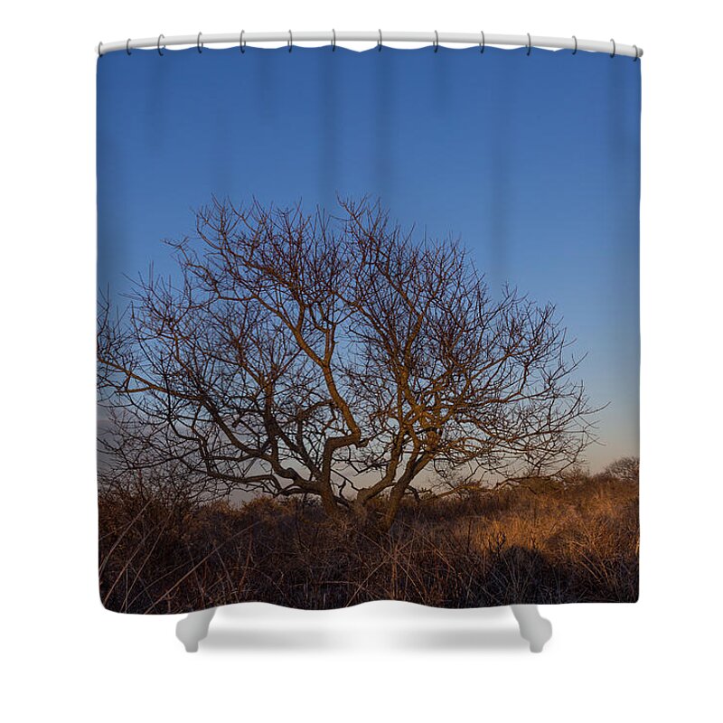 Tree Shower Curtain featuring the photograph Tree of Life by Roderick Breem