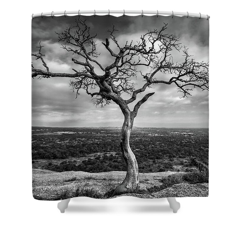 Tree Shower Curtain featuring the photograph Tree On Enchanted Rock in Black And White by Todd Aaron