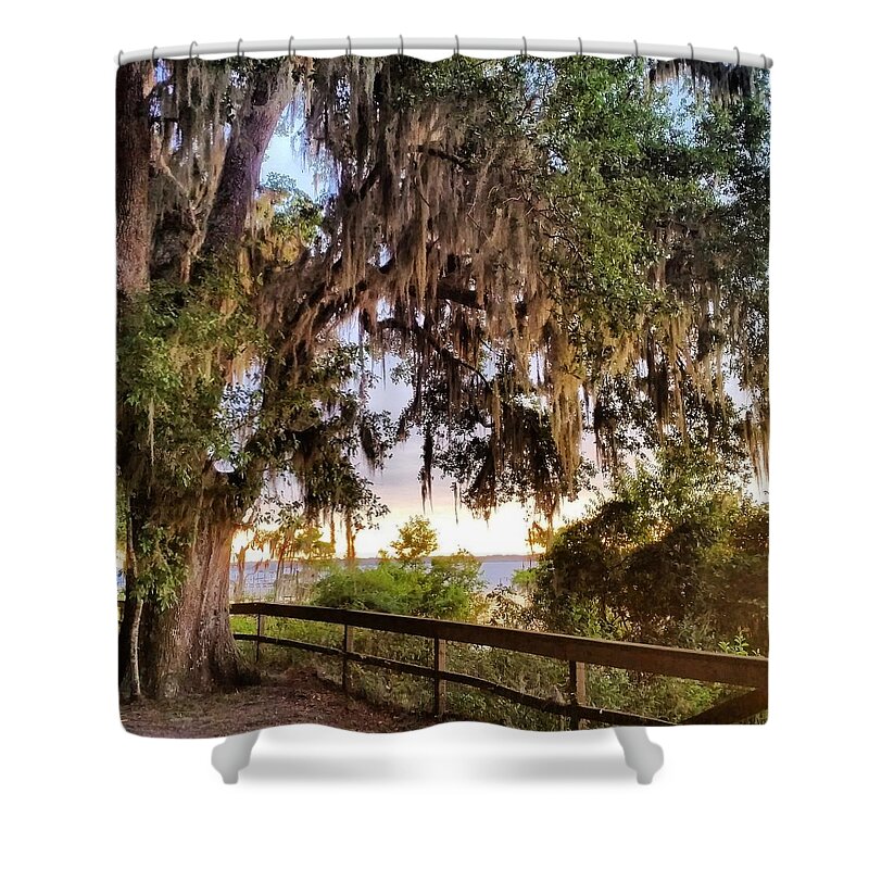 Tree On The Riverbank And Alpine Grove Park In Switzerland Florida Shower Curtain featuring the photograph Tree on the Riverbank by Karen Breeze