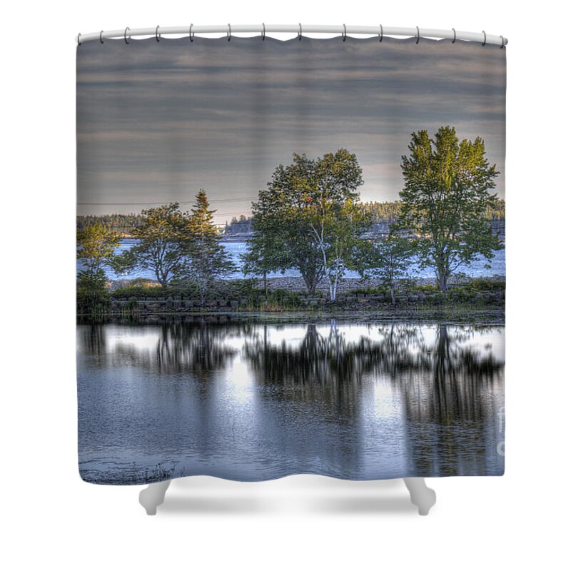 Maine Shower Curtain featuring the photograph All In a Row by Crystal Nederman