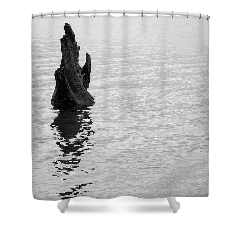 Tree Shower Curtain featuring the photograph Tree Reflections, Rest in the Water by Trance Blackman