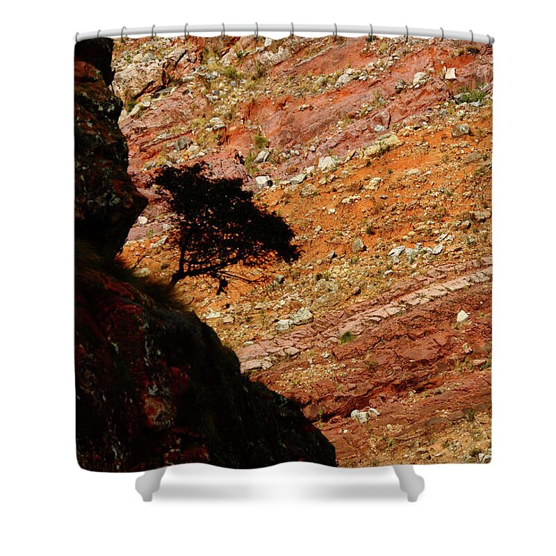 Tree Silhouette Shower Curtain featuring the photograph Tree Silhouette in a Colourful Canyon by James Brunker