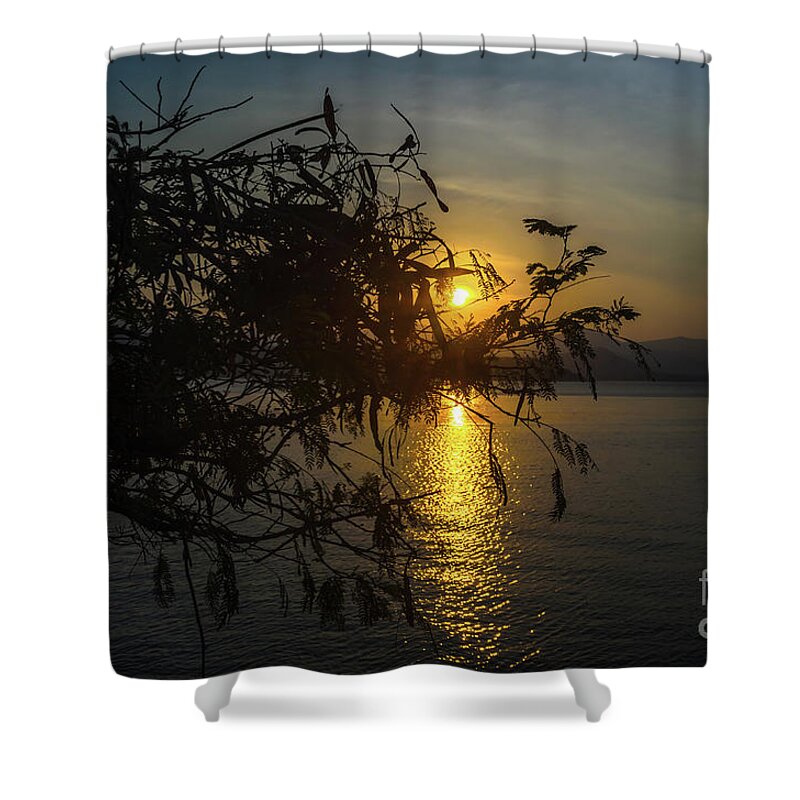Michelle Meenawong Shower Curtain featuring the photograph Tree Silhouette by Michelle Meenawong