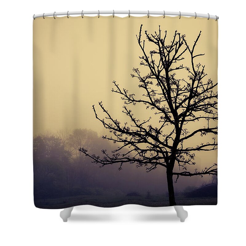 Tree Shower Curtain featuring the photograph Tree Silhouette on a Foggy Morn by Tom Mc Nemar