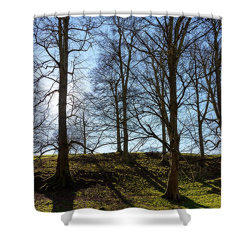 Trees Shower Curtain featuring the photograph Tree silhouettes by Colin Rayner
