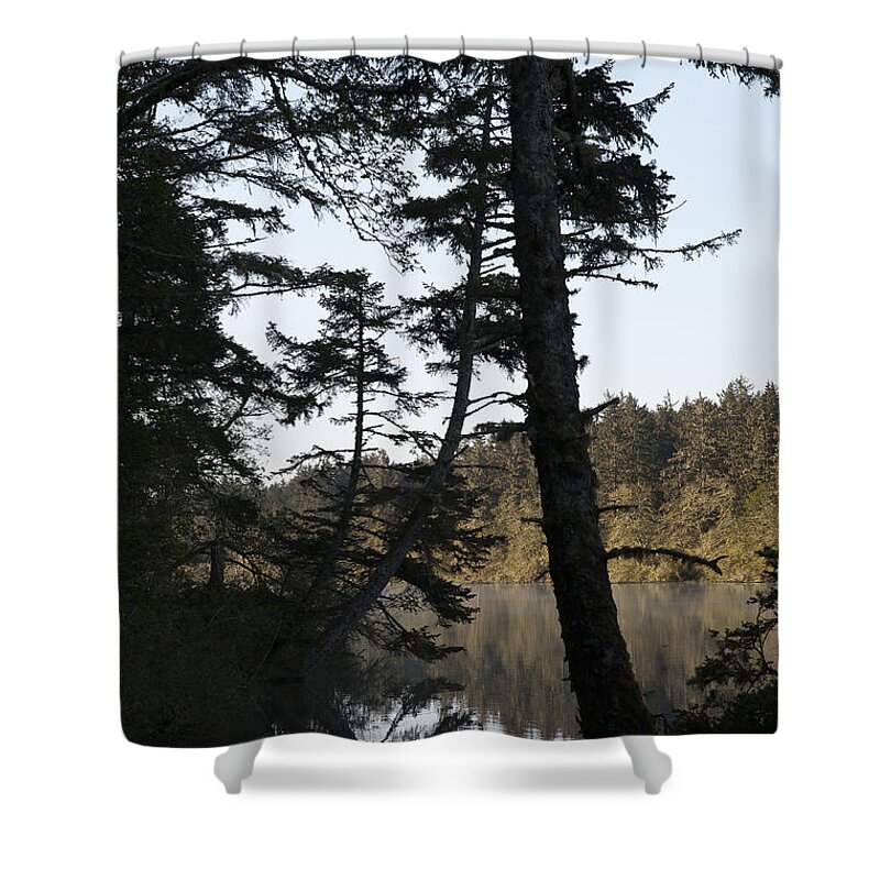 Clatsop County Shower Curtain featuring the photograph Tree Silhouettes by Robert Potts