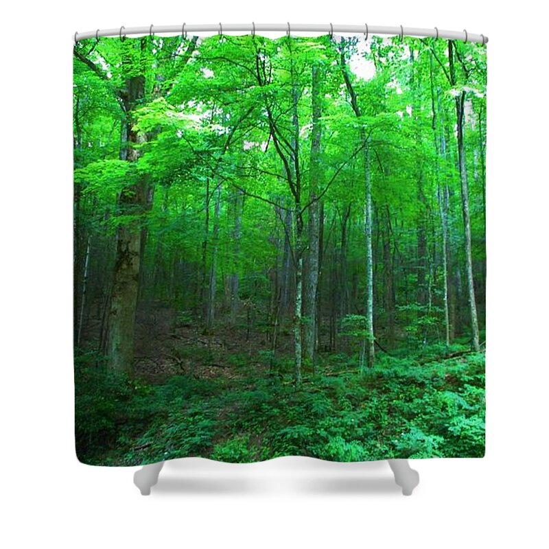 Kerisart Shower Curtain featuring the photograph Tree Stand by Keri West