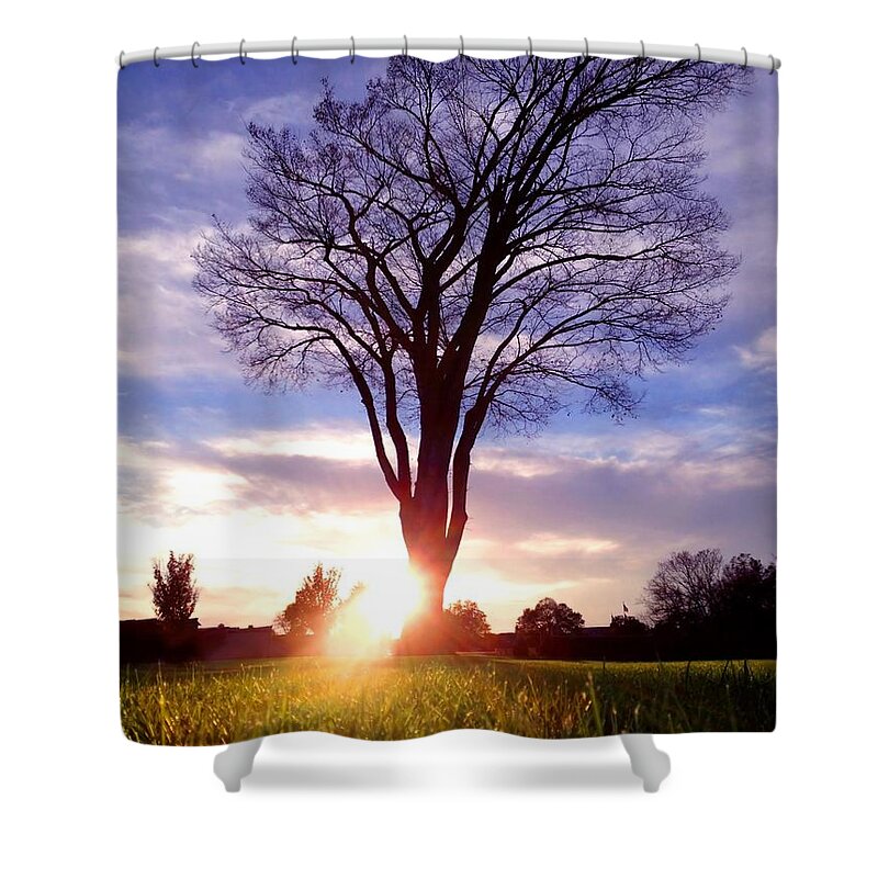 Landscape Shower Curtain featuring the photograph Tree Sun Lit by Morgan Carter