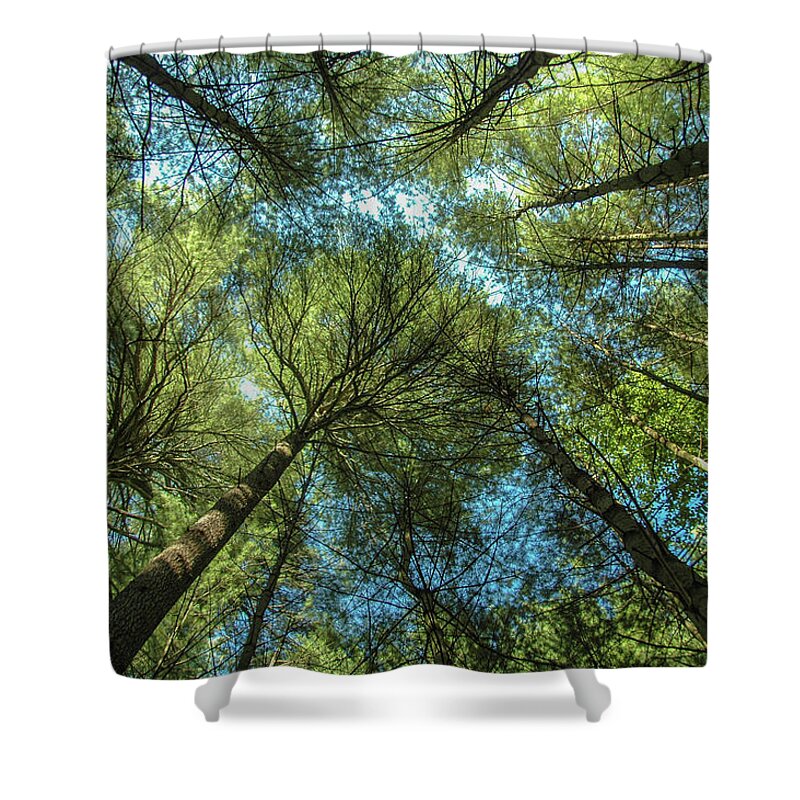 Forest Shower Curtain featuring the photograph Tree Tops by Cathy Kovarik