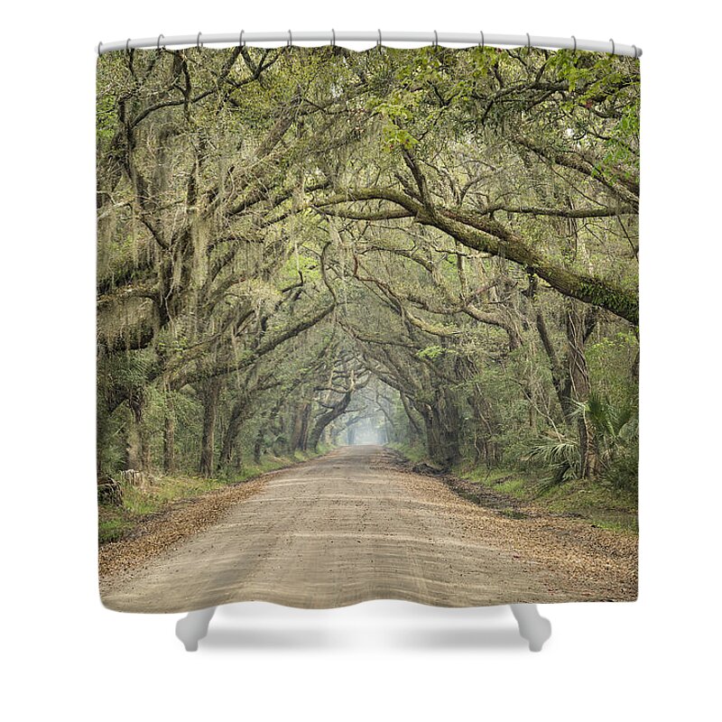 Tree Shower Curtain featuring the photograph Tree Tunnel by Denise Bush