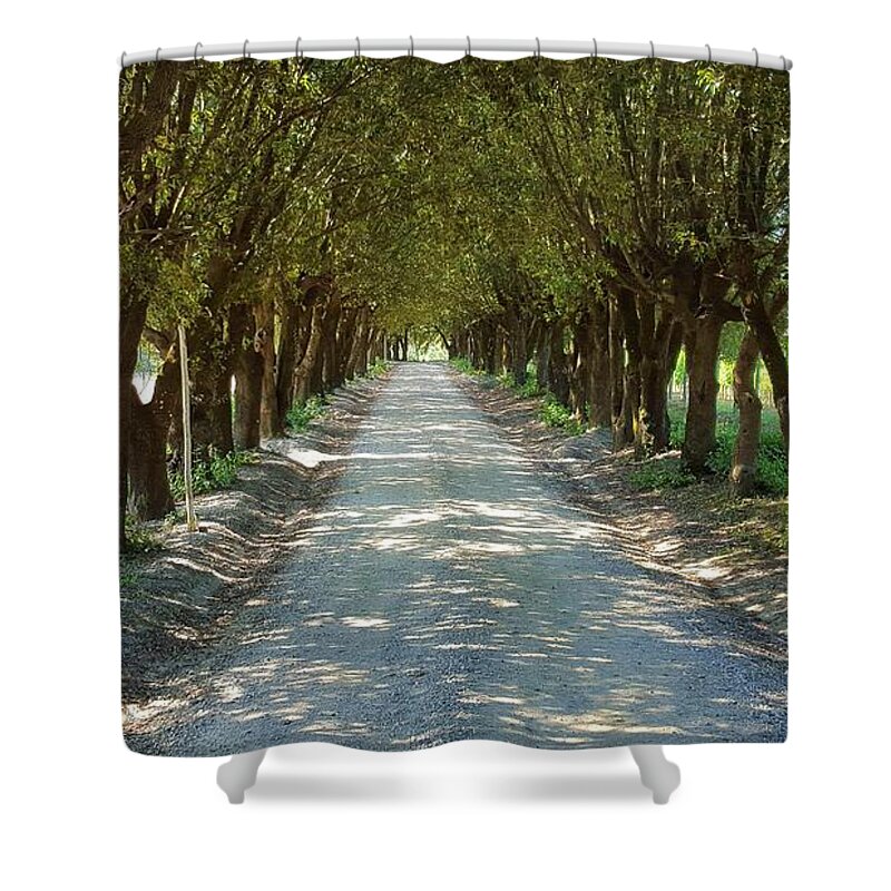 Tuscan Shower Curtain featuring the photograph Tree Tunnel by Valentino Visentini
