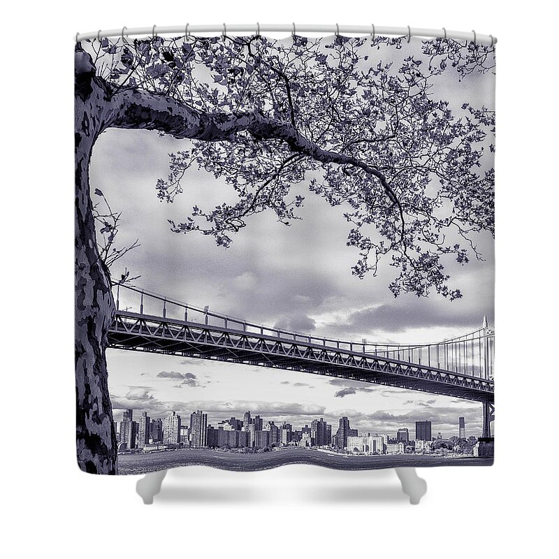 Tree Shower Curtain featuring the photograph Tree with a bridge by Micha Dziekonski
