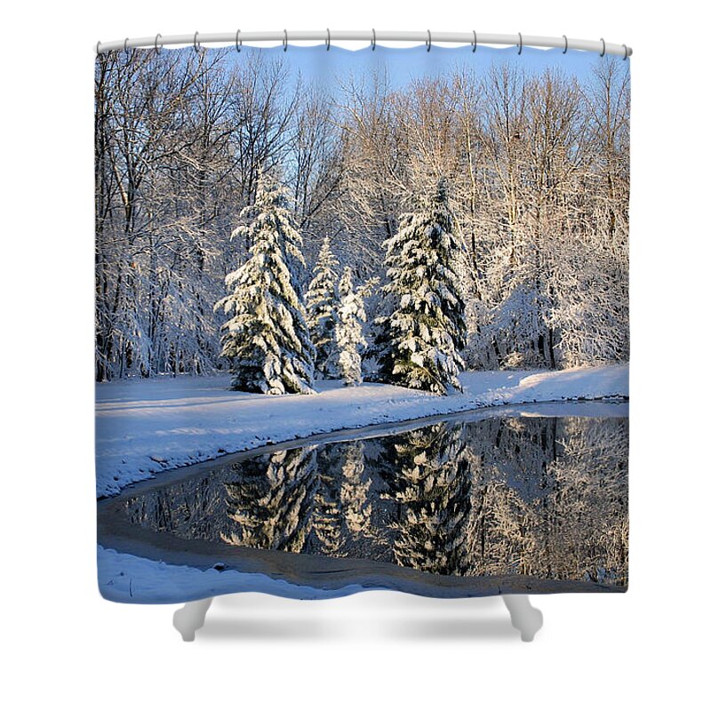 Winter Shower Curtain featuring the photograph Treeflections by Kristin Elmquist
