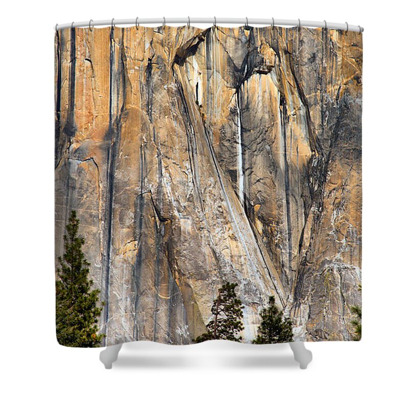 Granite Shower Curtain featuring the photograph Trees and Granite by Josephine Buschman