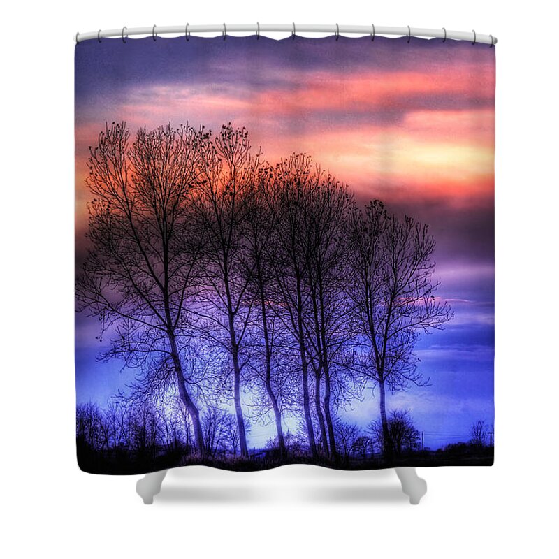 Countryscape Shower Curtain featuring the photograph Trees and twilight by Roberto Pagani