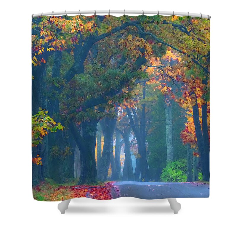 Fall Shower Curtain featuring the photograph Trees Crossing the Road by Jeff Cooper