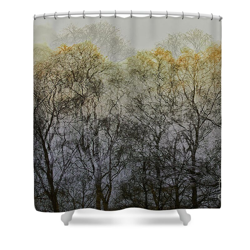 Trees Shower Curtain featuring the photograph Trees illuminated by faint sunshine, double exposed image by Nick Biemans