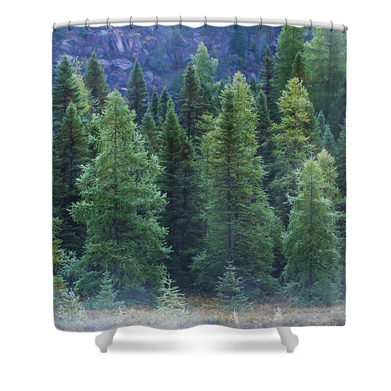 Trees Shower Curtain featuring the photograph Trees in the Mist by Jale Fancey