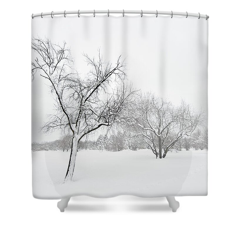 Winter Shower Curtain featuring the photograph Trees in winter blizzard by GoodMood Art