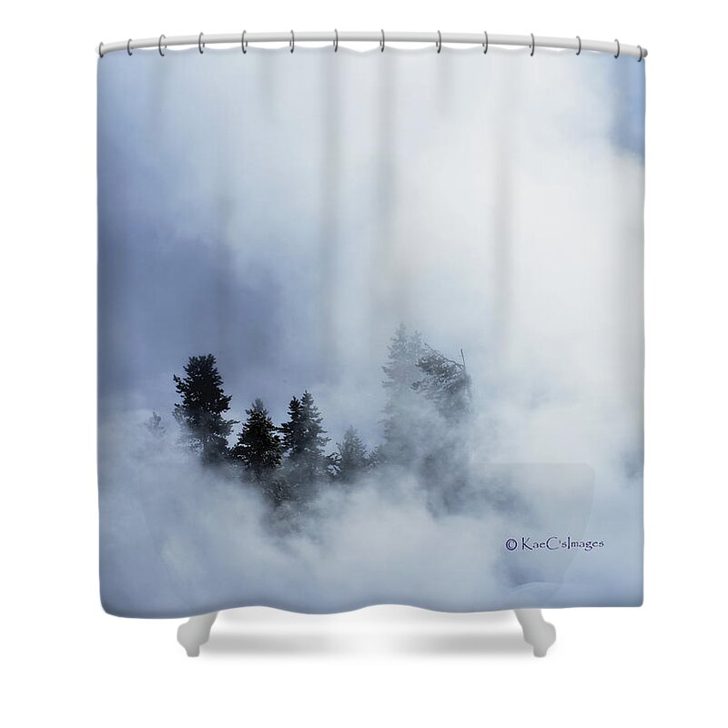 Firehole River Shower Curtain featuring the photograph Trees through Firehole River Mist by Kae Cheatham